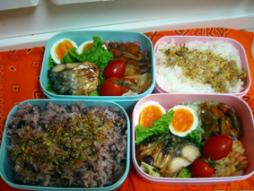 やっと半熟玉子作れました♪