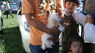 5.21 6296200.jpg