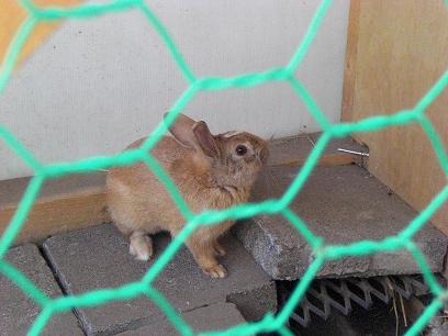 大きくなったでしょ？.JPG