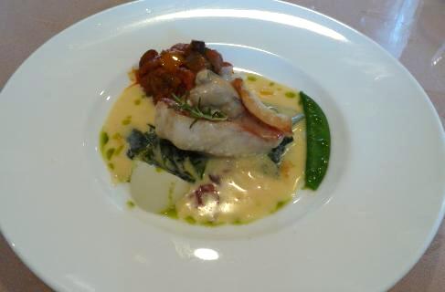 アクア　メイン魚