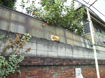 南千住旧恵美須湯4