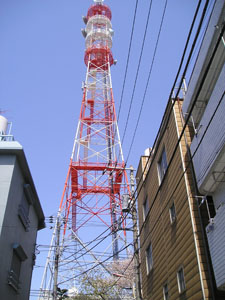 東電の鉄塔1