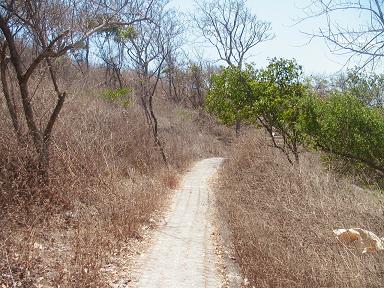 ワンデー講習会 182.jpg