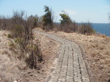 ワンデー講習会 186.jpg