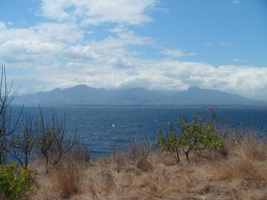 ワンデー講習会 187.jpg