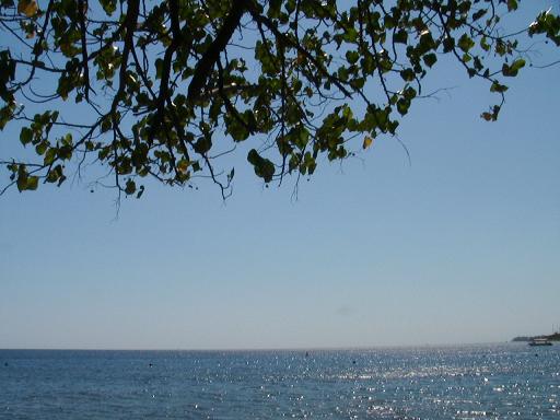 ワンデー講習会 288.jpg