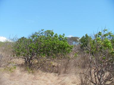 ワンデー講習会 188.jpg