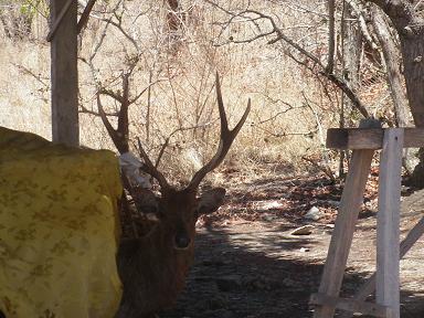 ワンデー講習会 190.jpg