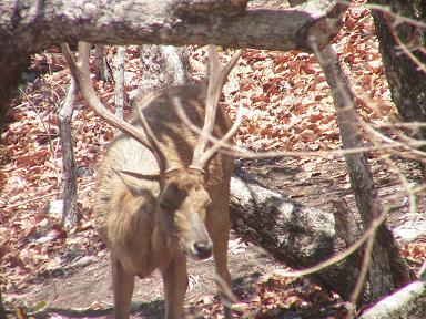 ワンデー講習会 197.jpg