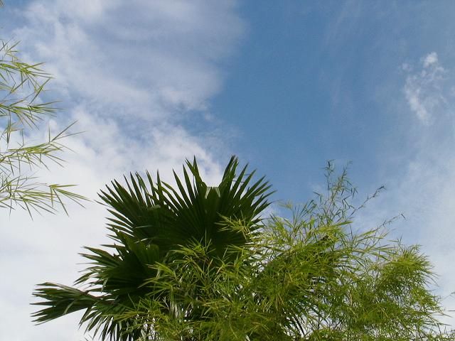 ワンデー講習会 076.jpg