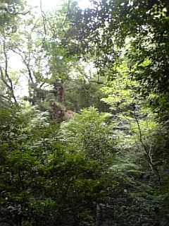 2008-09-28 13:41:45