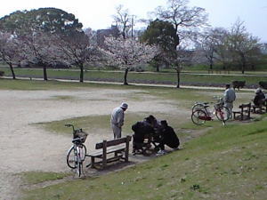 石手川公園　4