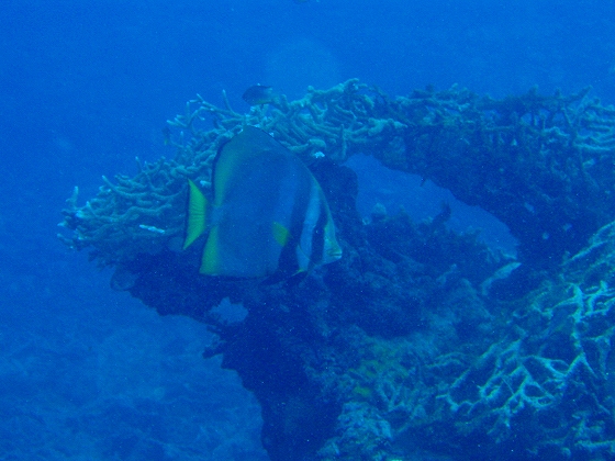 20090315_268.jpg