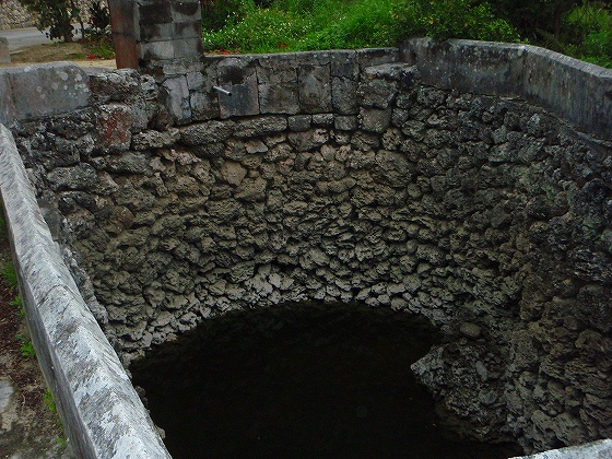 20090314_388.jpg