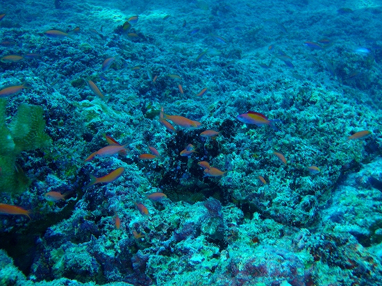 20090710_271.jpg