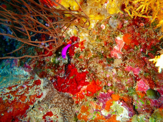 20090710_232.jpg