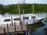 20090412_400.jpg