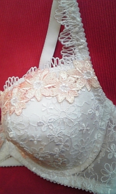 サルート　ネージュ　ブラ