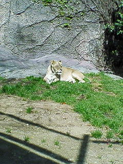 200704051003000.jpg