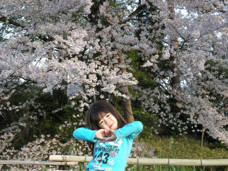 20100410近所の桜