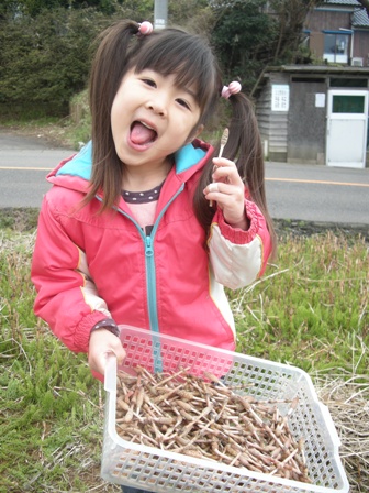 20100328つくしとら～たん♪