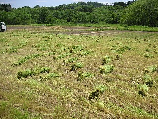PICT0026.jpg