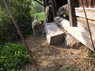 PICT0099.jpg