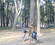 DVC10002.JPG