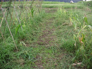 PICT0146.jpg