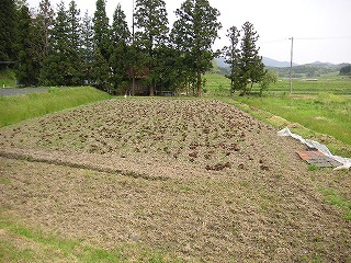 PICT0022.jpg