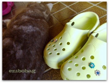 crocs