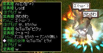 わんこさんのしっぽｗ