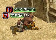 9月2日　ドンのしっぽ（*´ω`*)