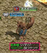 9月3日　カラちゃのしっぽ＾＾