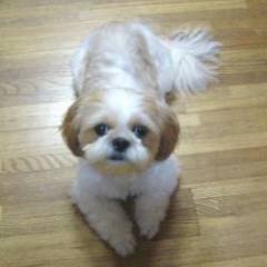 こんちは 014.jpg