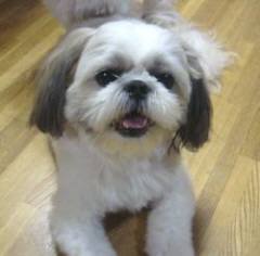 こんちは 016.jpg