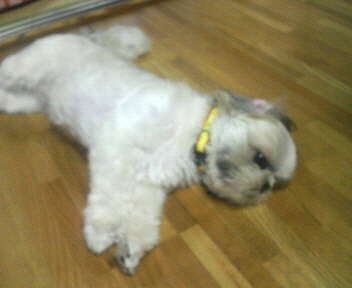 200606171753000.jpg