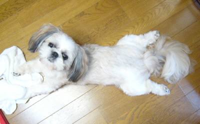 こんばんは 001.jpg