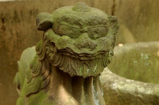 じいさんな狛犬