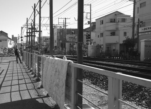 物干し台と柵とどちらが先にできたのかしら