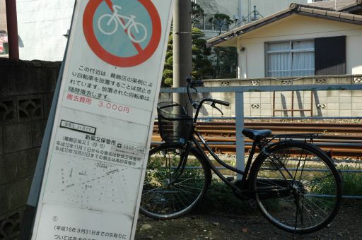 だめだって言ってるじゃん