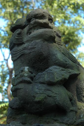 めずらしい狛犬