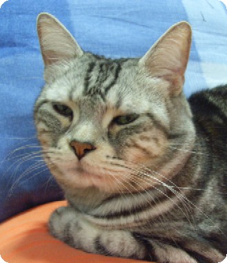 090126-0066-kent