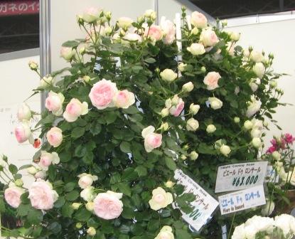 ピエールドゥロンサール