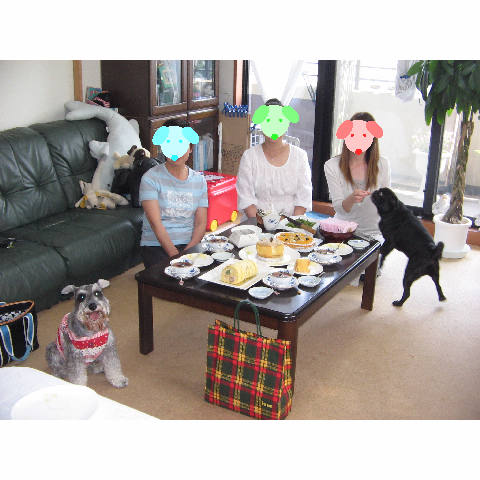 カメラ目線でハイポーズ(シュナ）