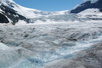 Icefield in the Rocky Mountains