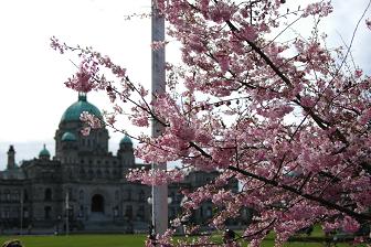 州議事堂　in victoria