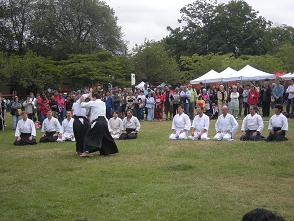 Japanese festival