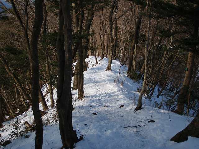 雪の登山道.jpg