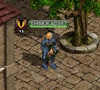 wish799.jpg